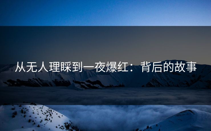 从无人理睬到一夜爆红：背后的故事